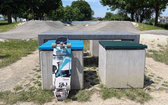 Board Review Carver Carson Proteus